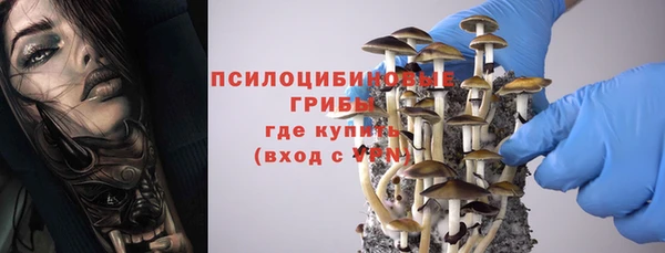 2c-b Абаза