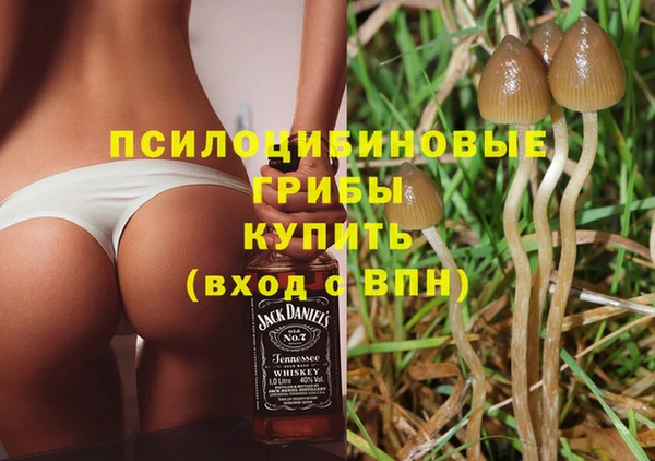 стаф Абдулино