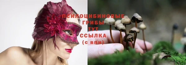 стаф Абдулино