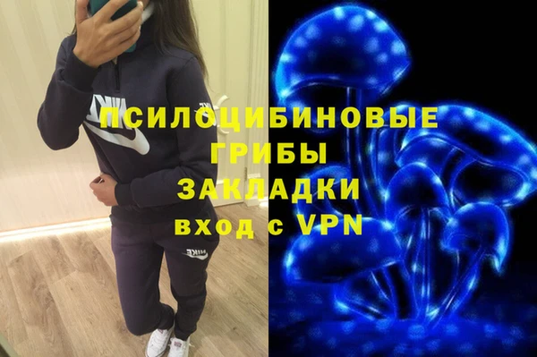 бошки Абинск
